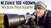 M Zuiko 100 400mm F 5 6 3 For Wildlife Photography Review