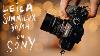 Using Leica Summilux 50 1 4 On Sony A7riii A7c Cameras For Weddings