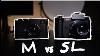 What Is The Best Leica Camera For M Lenses M10 Versus Sl2 S