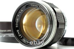 With Hood Near MINT Canon 50mm F1.4 Lens L39 LTM Screw Mount Leica From JAPAN